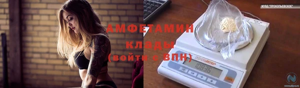 ПСИЛОЦИБИНОВЫЕ ГРИБЫ Верея