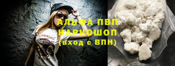 ПСИЛОЦИБИНОВЫЕ ГРИБЫ Верея