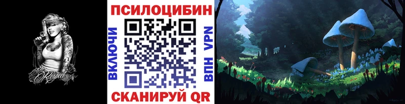 Псилоцибиновые грибы GOLDEN TEACHER  где продают наркотики  блэк спрут зеркало  Нелидово 